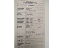 ������ 29,04.jpg