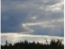 IMG 20200430 163247.jpg