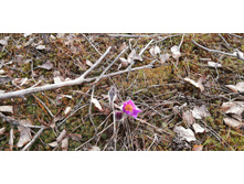 IMG 20200430 172012.jpg