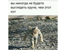 Screenshot 20200404 082452.jpg