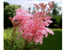 �������� ������� 150 �.