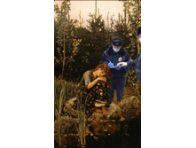 Screenshot 20200419 221736.jpg