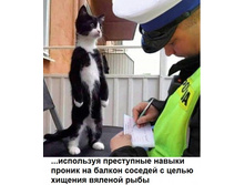 ... � ����� ��� ...