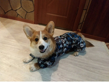 ����������� viber 2020-04-01 19-12-37.jpg