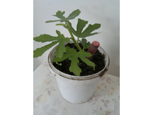 �����.���������