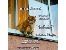 �����, ���� �������. ���� �ӣ �������. ���� �������, �����