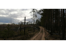 IMG 20200430 162324.jpg