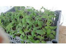 �������� �� 09 ���