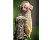 Screenshot 20200402 074709.jpg