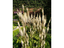 �������� 150 �.