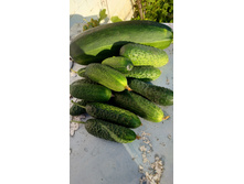 ������ 2019