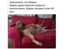 Screenshot 20200402 221517.jpg