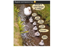 Screenshot 20200421 133544.jpg