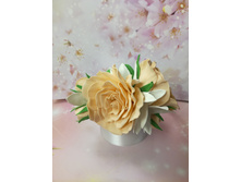 ������ 350 ���