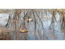 IMG 20200413 173841.jpg