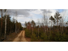 IMG 20200430 180050.jpg