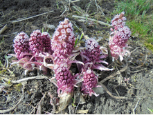 ������������ 14 ������