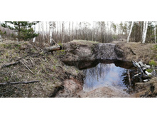 IMG 20200430 183840.jpg