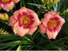 �������� ���������� ����� 150 �