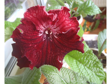 UA-������ �.jpg