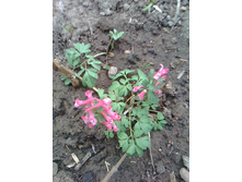 IMG 20200414 183430.jpg