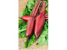 ������ �������� �������� ��.� 2�� 11,50�. -5��.jpg