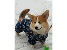 ����������� viber 2020-04-02 11-12-09.jpg