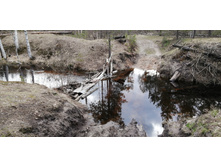 IMG 20200430 165132.jpg