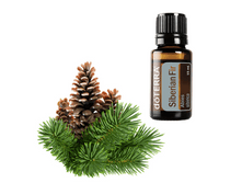 Siberianfir600x600.png