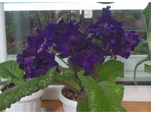 ��-������ �������� (2).jpg