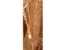 IMG 20200424 223312.jpg