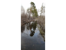 IMG 20200430 183615.jpg