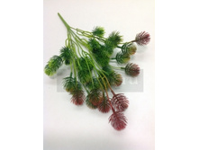 89.00 ���./��. 2094 ����� �������, �������, 5 �