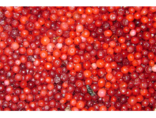 �������� ������������