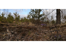 IMG 20200430 170855.jpg