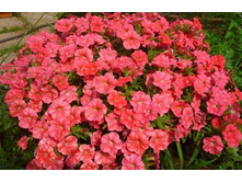 ������� ������ ����� 160 �