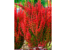 318,75���, �������� �������� ��� ����/��������, � ������� 1��