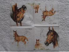 100/1.JPG �������� 2 ��,