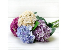 ���������, 70 ��