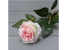 ���� ���������, 67 ��