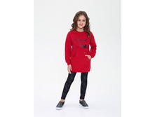 ��������� ������ � ��������� �������� �Disney DTH 957