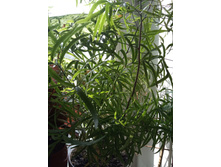 IMG 20190905 150951.jpg