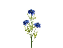 ����̣� ������������� h 60�� (3�.)