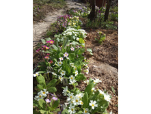 ������ �� ������