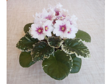 ��-����� 1.jpg