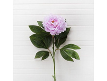 ���� h-80�� (���+����)