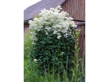 �������� ������