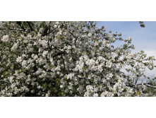 IMG 20200518 171940.jpg