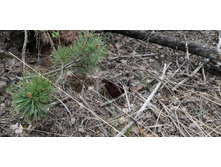 IMG 20200511 143048.jpg