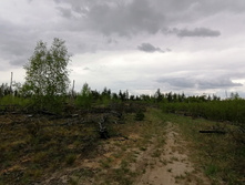 IMG 20200511 135712.jpg